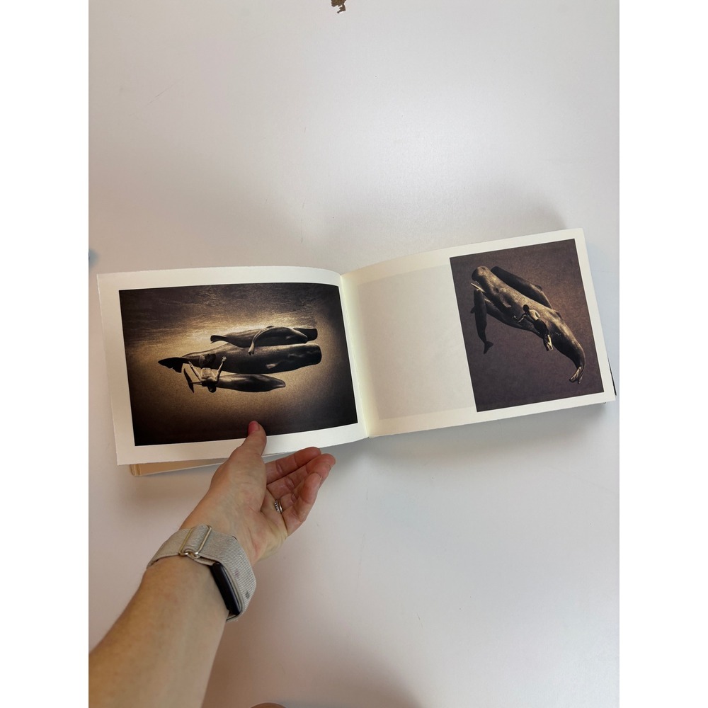 Gregory Colbert Ashes and Snow 2006 Santa Monica Exhibition Catalog Photo Book - Picture 3 of 5
